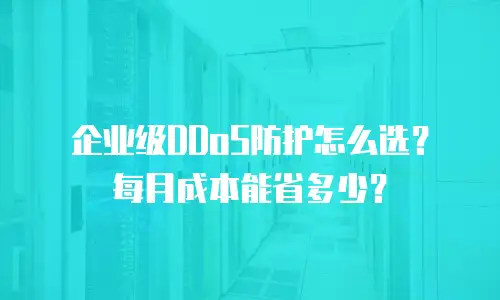 企业级DDoS防护怎么选？每月成本能省多少？