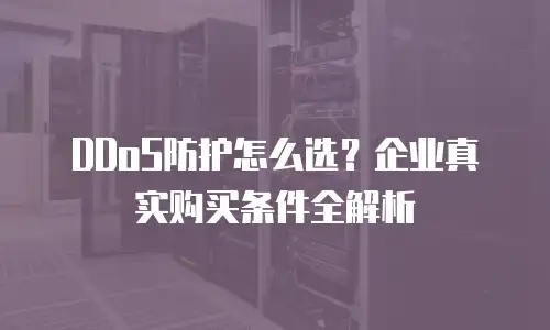 DDoS防护怎么选？企业真实购买条件全解析