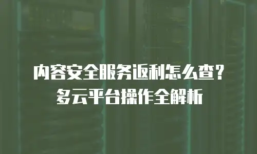 内容安全服务返利怎么查？多云平台操作全解析