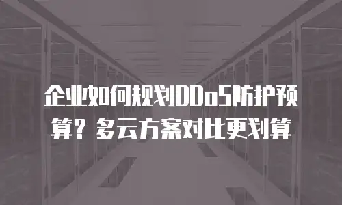 企业如何规划DDoS防护预算？多云方案对比更划算