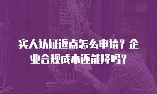 实人认证返点怎么申请？企业合规成本还能降吗？