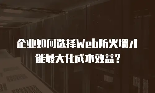 企业如何选择Web防火墙才能最大化成本效益？