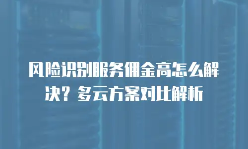 风险识别服务佣金高怎么解决？多云方案对比解析