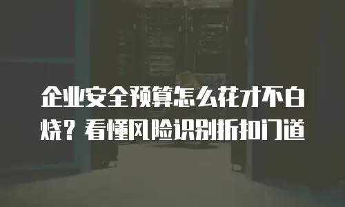 企业安全预算怎么花才不白烧？看懂风险识别折扣门道