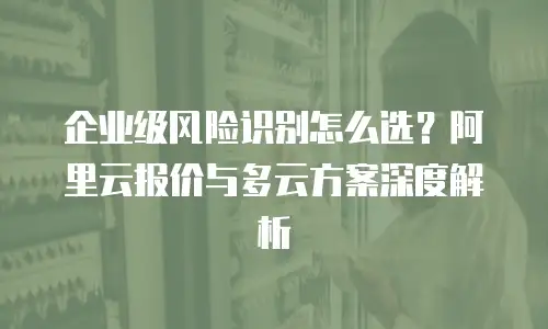 企业级风险识别怎么选？阿里云报价与多云方案深度解析