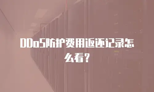 DDoS防护费用返还记录怎么看？