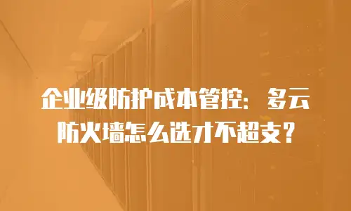 企业级防护成本管控：多云防火墙怎么选才不超支？