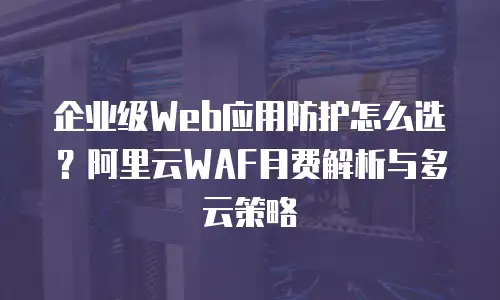 企业级Web应用防护怎么选？阿里云WAF月费解析与多云策略