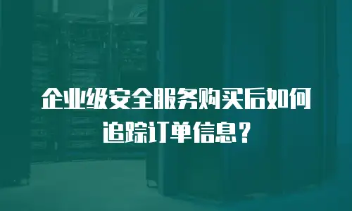企业级安全服务购买后如何追踪订单信息？