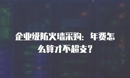 企业级防火墙采购：年费怎么算才不超支？