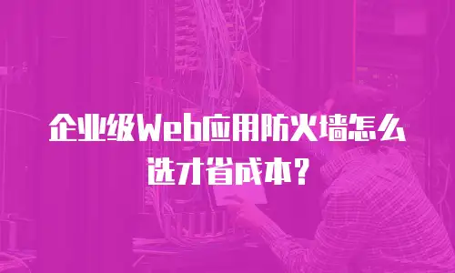 企业级Web应用防火墙怎么选才省成本？