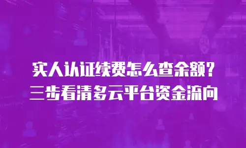 实人认证续费怎么查余额？三步看清多云平台资金流向