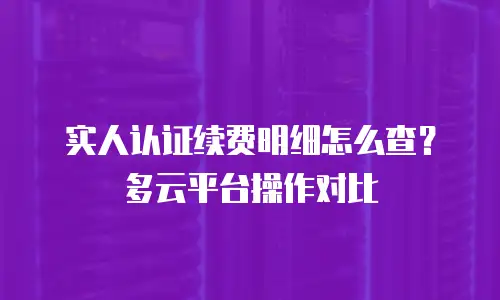 实人认证续费明细怎么查？多云平台操作对比