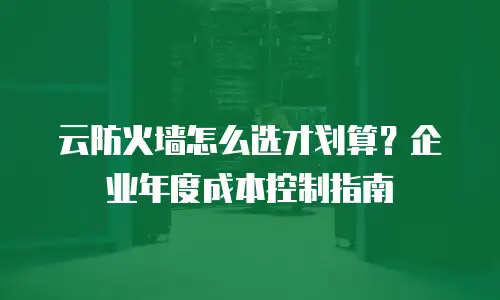 云防火墙怎么选才划算？企业年度成本控制指南