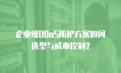 企业级DDoS防护方案如何选型与成本控制？