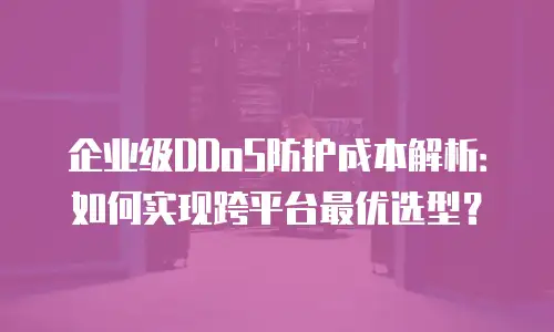 企业级DDoS防护成本解析：如何实现跨平台最优选型？