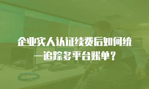 企业实人认证续费后如何统一追踪多平台账单？