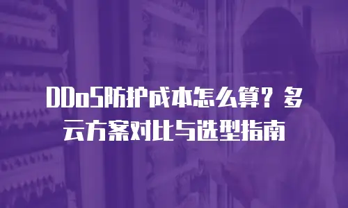 DDoS防护成本怎么算？多云方案对比与选型指南