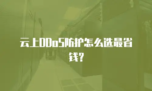 云上DDoS防护怎么选最省钱？