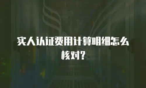 实人认证费用计算明细怎么核对？