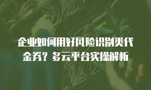 企业如何用好风险识别类代金券？多云平台实操解析