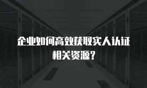 企业如何高效获取实人认证相关资源？
