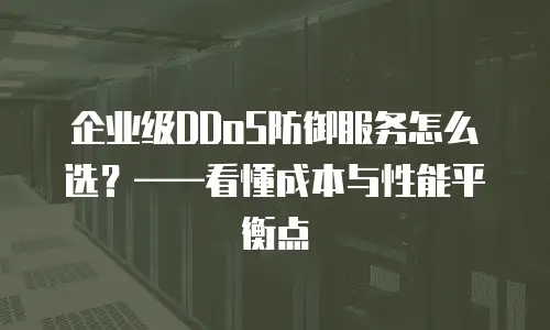 企业级DDoS防御服务怎么选？——看懂成本与性能平衡点