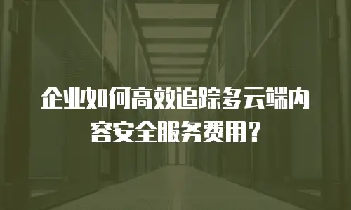 企业如何高效追踪多云端内容安全服务费用？