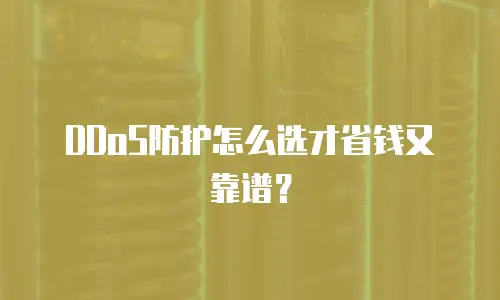 DDoS防护怎么选才省钱又靠谱？