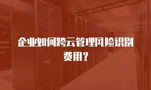 企业如何跨云管理风险识别费用？