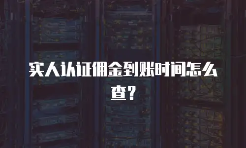 实人认证佣金到账时间怎么查？