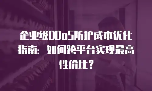 企业级DDoS防护成本优化指南：如何跨平台实现最高性价比？