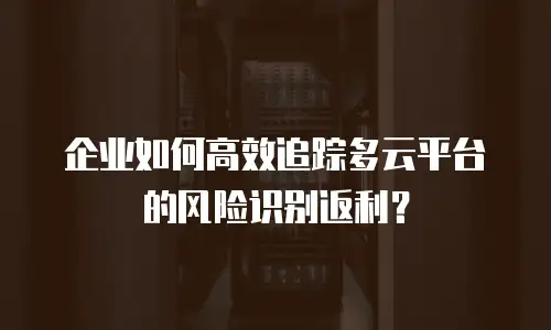 企业如何高效追踪多云平台的风险识别返利？