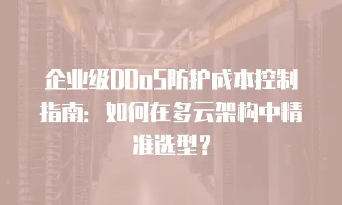 企业级DDoS防护成本控制指南：如何在多云架构中精准选型？
