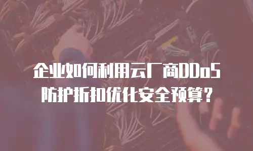 企业如何利用云厂商DDoS防护折扣优化安全预算？