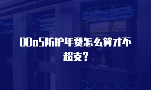 DDoS防护年费怎么算才不超支？