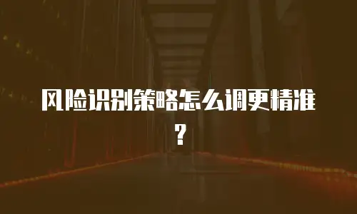 风险识别策略怎么调更精准？