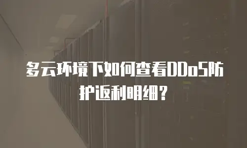 多云环境下如何查看DDoS防护返利明细？