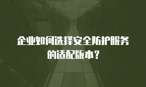 企业如何选择安全防护服务的适配版本？