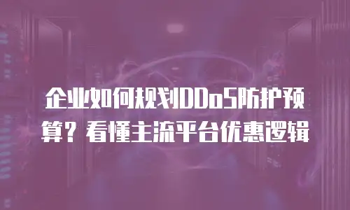 企业如何规划DDoS防护预算？看懂主流平台优惠逻辑