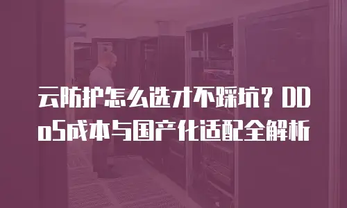 云防护怎么选才不踩坑？DDoS成本与国产化适配全解析