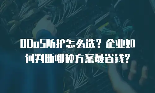 DDoS防护怎么选？企业如何判断哪种方案最省钱？