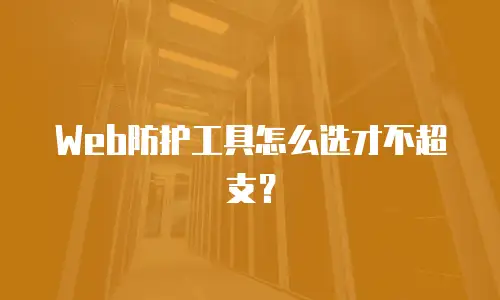 Web防护工具怎么选才不超支？