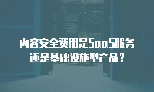 内容安全费用是SaaS服务还是基础设施型产品？