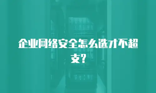 企业网络安全怎么选才不超支？