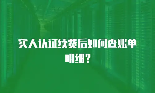 实人认证续费后如何查账单明细？
