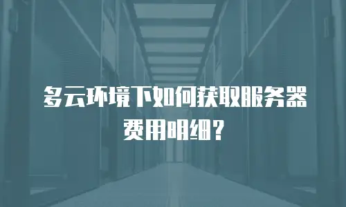 多云环境下如何获取服务器费用明细？
