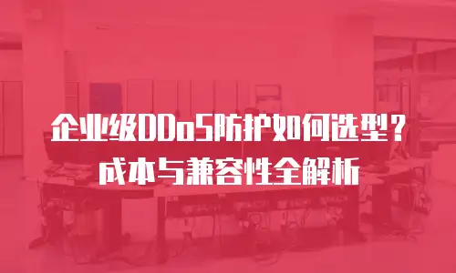 企业级DDoS防护如何选型？成本与兼容性全解析