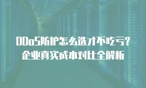 DDoS防护怎么选才不吃亏？企业真实成本对比全解析