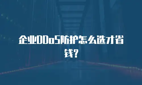 企业DDoS防护怎么选才省钱？